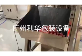 牛肉，雞肉，羊肉罐頭等（děng）肉類罐裝包裝生產線