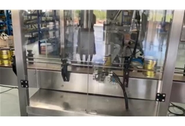 駱駝奶粉包裝生產（chǎn）線