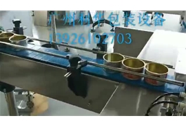 馬口鐵高速伺服（fú）封罐機